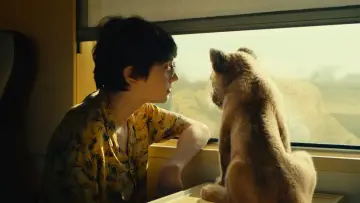 Zasłona do filmu "King: Mój przyjaciel lew" #336698