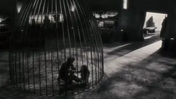 Zasłona do filmu "Wilkołak nocą" #1207039