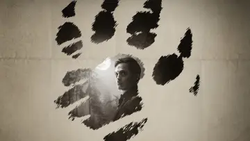 Zasłona do filmu "Wilkołak nocą" #245872
