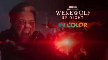 Zasłona do filmu "Wilkołak nocą" #46195