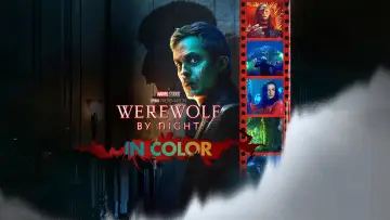Zasłona do filmu "Wilkołak nocą" #46198