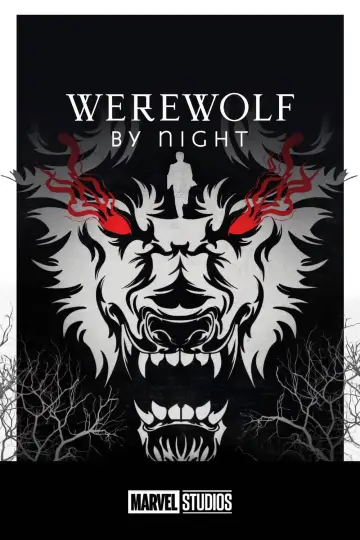 Plakat do filmu "Wilkołak nocą" #46214