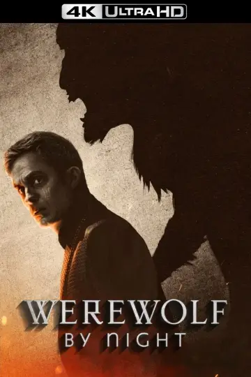 Plakat do filmu "Wilkołak nocą" #46218
