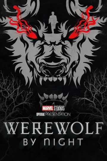 Plakat do filmu "Wilkołak nocą" #46220