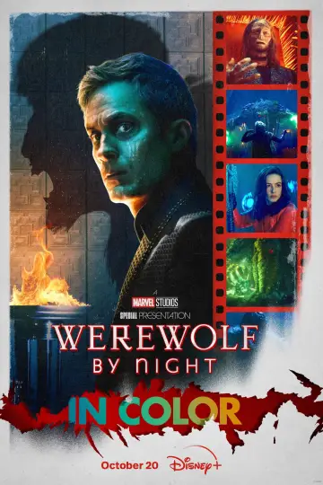 Plakat do filmu "Wilkołak nocą" #46230