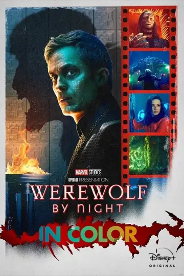 Plakat do filmu "Wilkołak nocą" #46231