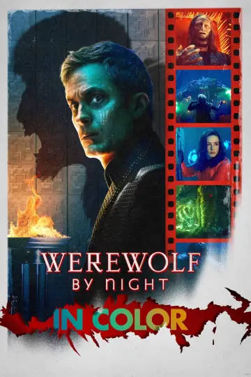 Plakat do filmu "Wilkołak nocą" #688137
