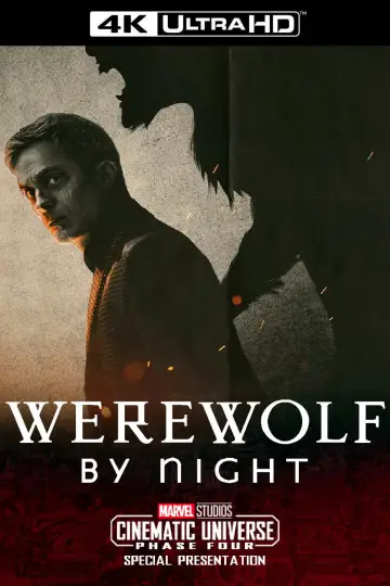 Plakat do filmu "Wilkołak nocą" #688148