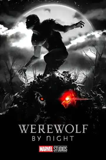 Plakat do filmu "Wilkołak nocą" #933301