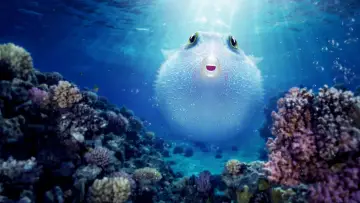 Wideo do filmu Z rozdymką przez rafę koralową — Puff: Wonders of the Reef | Official Trailer | Netflix