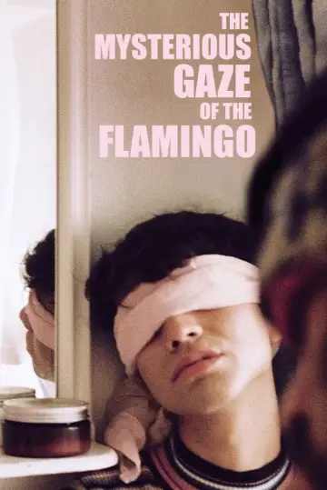 Plakat do filmu "La misteriosa mirada del flamenco" #531858