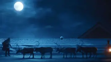 Zasłona do filmu "Dzika noc" #666666