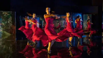 Zasłona do filmu "Flamenco Flamenco" #744752
