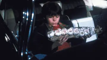 Zasłona do filmu "Tego już za wiele" #352973