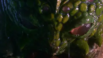 Zasłona do filmu "Seedpeople" #1913696
