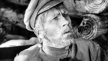 Zasłona do filmu "Счастье" #1170292