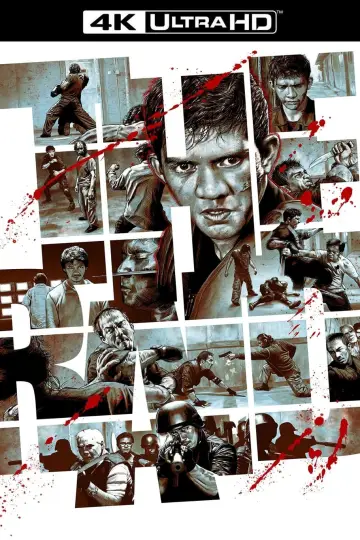 Plakat do filmu "Raid" #217730