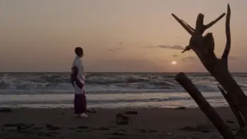 Zasłona do filmu "銀蝶流れ者 牝猫博奕" #1619922