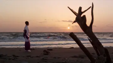 Zasłona do filmu "銀蝶流れ者 牝猫博奕" #1619926