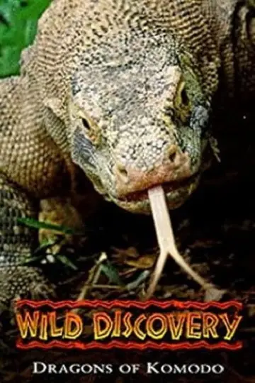 Plakat do filmu "Dragons of Komodo" #1153498