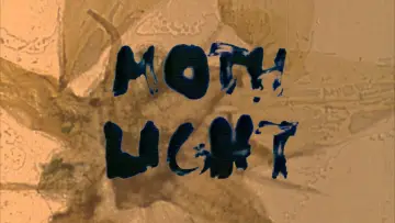 Mothlight