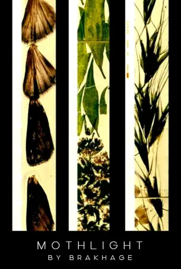 Plakat do filmu "Mothlight" #703613
