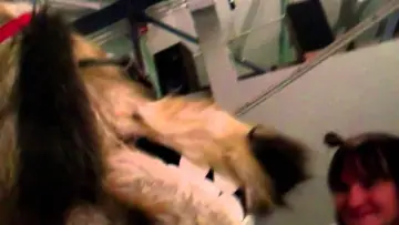 Zasłona do filmu "Doggiewoggiez! Poochiewoochiez!" #1921070