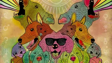 Zasłona do filmu "Doggiewoggiez! Poochiewoochiez!" #1921071