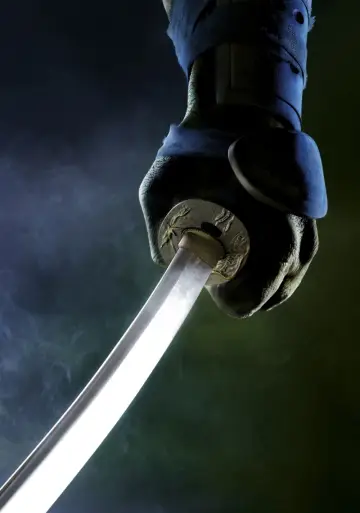 Plakat do filmu "Wojownicze Żółwie Ninja" #376306