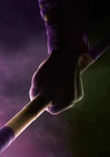 Plakat do filmu "Wojownicze Żółwie Ninja" #376309