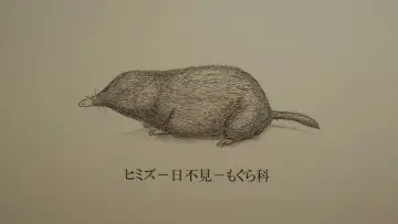 Zasłona do filmu "ヒミズ" #951374