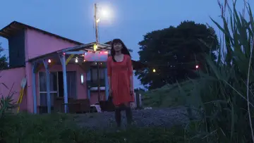 Zasłona do filmu "ヒミズ" #951378