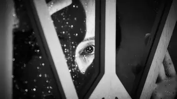 Zasłona do filmu "Pajęczyna" #349979