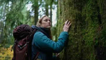 Zasłona do filmu "Cichy wielbiciel" #398841