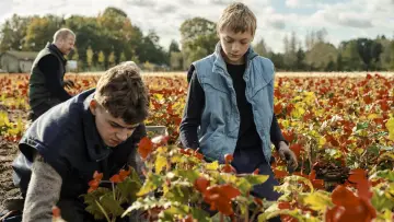 Zasłona do filmu "Blisko" #186577