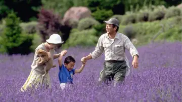 Zasłona do filmu "北の国か 