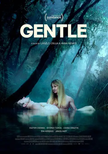 Plakat do filmu "Delikatnie" #1150702