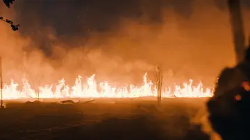 Zasłona do filmu "Terytorium" #1876725
