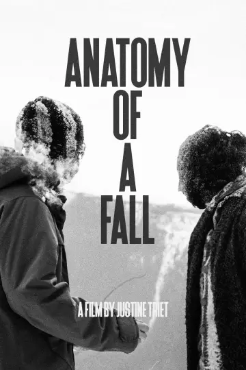 Plakat do filmu "Anatomia upadku" #164536