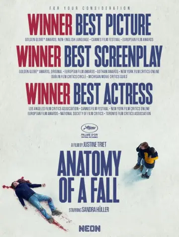 Plakat do filmu "Anatomia upadku" #164542