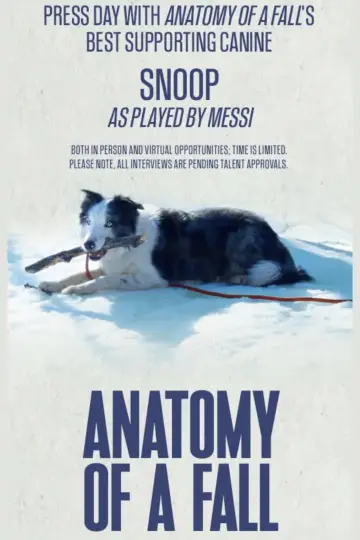 Plakat do filmu "Anatomia upadku" #193045