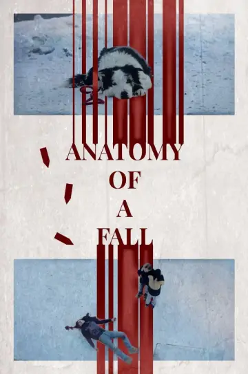 Plakat do filmu "Anatomia upadku" #638729