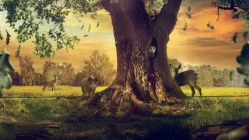 Zasłona do filmu "Le Chêne" #792500
