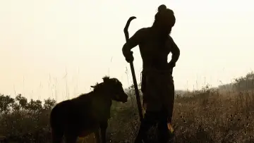 Zasłona do filmu "தங்கலான்" #885911