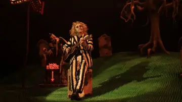 Zasłona do filmu "Beetlejuice Beetlejuice" #566073