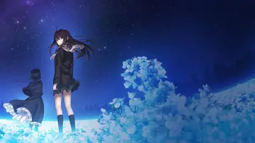 Zasłona do filmu "魔法使いの夜" #976033