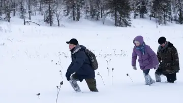 Zasłona do filmu "Przełamując lody" #386060
