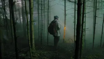 Zasłona do filmu "Milczący las" #373124