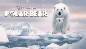 Zasłona do filmu "Polar Bear" #1072561