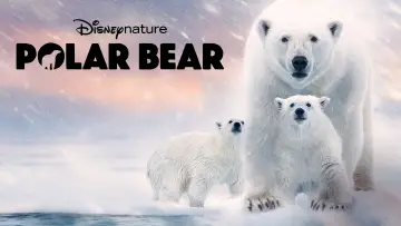Zasłona do filmu "Polar Bear" #1072562